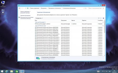 Windows 8.1 x86/x64 Professional + Enterprise Update 17.08.14 (x86/x64) (2014) [RUS]