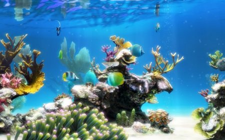 Sim Aquarium Platinum Edition 3.8 Build 63