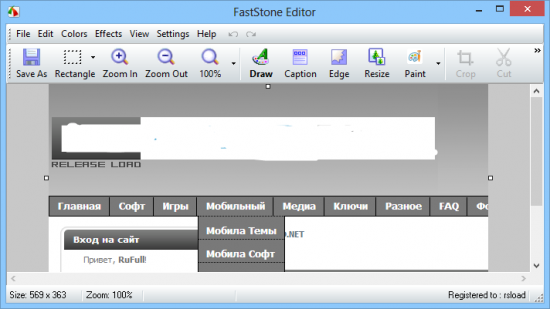 FastStone Capture v8.3+ Portable 