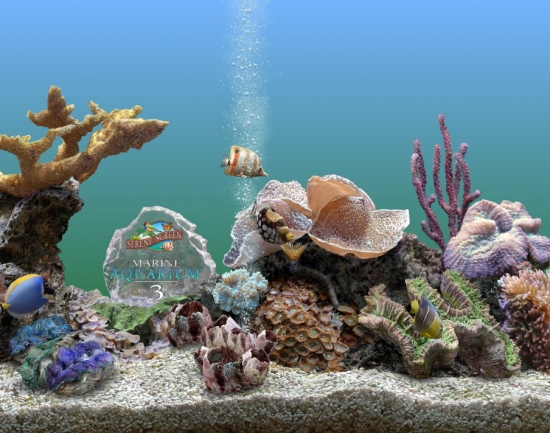 SereneScreen Marine Aquarium 3.3.6041