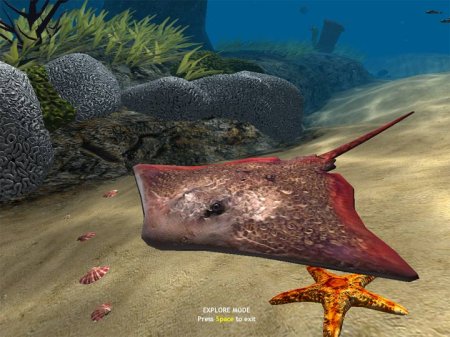 OceanDive 1.4 (2013/ENG) 3D Screensaver