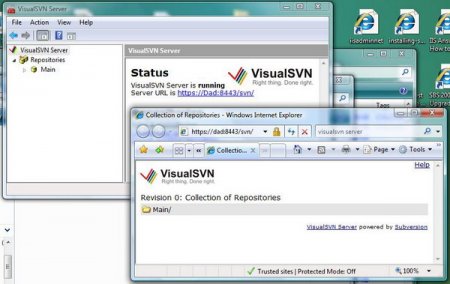 VisualSVN Server Enterprise 2.1.11