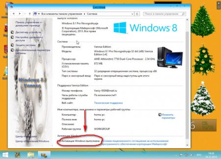Windows 8.1 x86 Pro Novogodnyaja by Vannza (2013) Rus