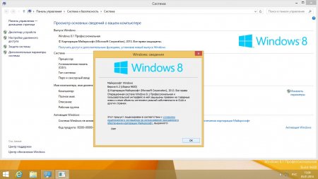 Windows 8.1 Professional С…64 RUS