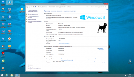 Windows 8.1 Professional by Aleks v.28.01.2014 (x64) (2014) RUS