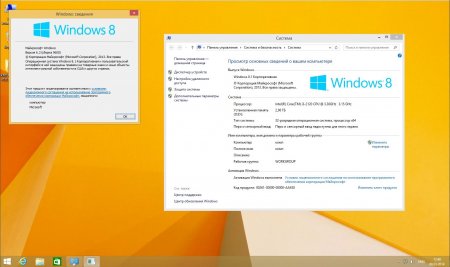 Windows 8.1 Enterprise Sping BeaStyle v.1.1 (x86x64) (2014) [Rus]