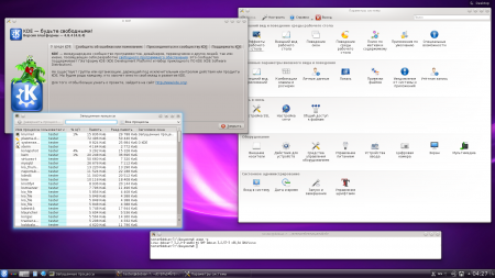 Debian GNU/Linux 7.8.0 Live [i386] 4xDVD