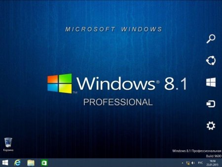 Windows 8.1 Professional by Elgujakviso Edition Rusca