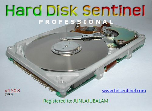 hard disk sentinel pro 4.40 key