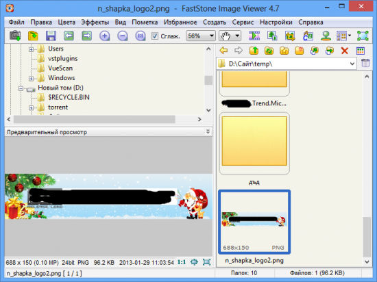 FastStone Image Viewer 5.5 Final + Portable