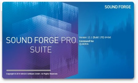 MAGIX SOUND FORGE Pro + Repack / Sony Sound Forge Pro